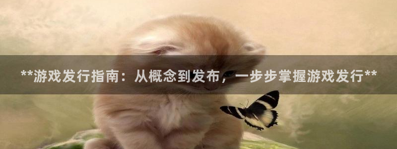 蓝狮电子商务有限公司地址：**游戏发行指南：从概念到发布，一步步掌握游戏发行**