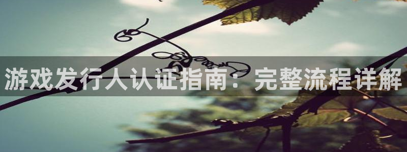 蓝狮子出版社董事长：游戏发行人认证指南：完整流程详解