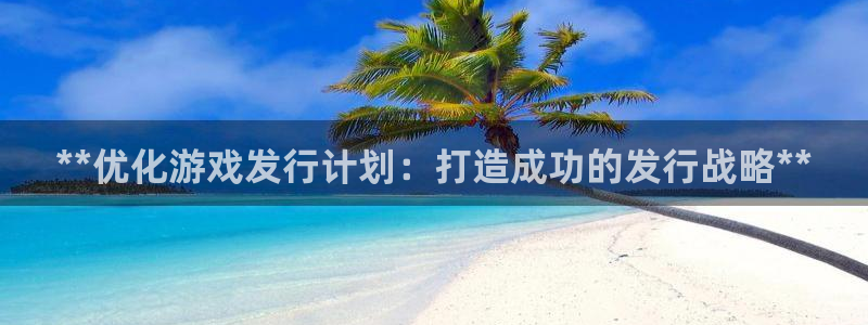 蓝狮服装分店有几家：**优化游戏发行计划：打造成功的发行战略**