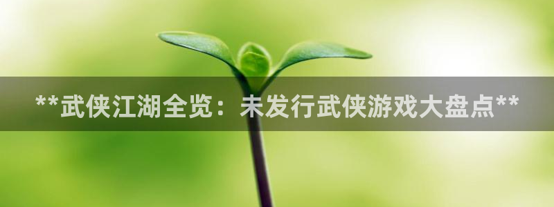 蓝狮在线解绑银行卡怎么解绑：**武侠江湖全览：未发行武侠游戏大盘点**