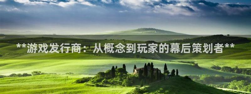 蓝狮在线注册平台：**游戏发行商：从概念到玩家的幕后策划者**