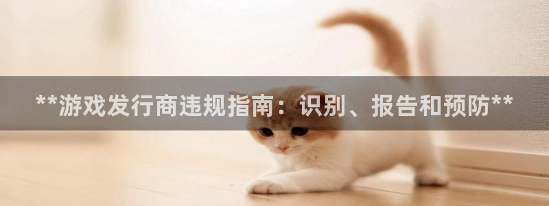 四川蓝狮科技有限公司招聘：**游戏发行商违规指南：识别、报告和预防**