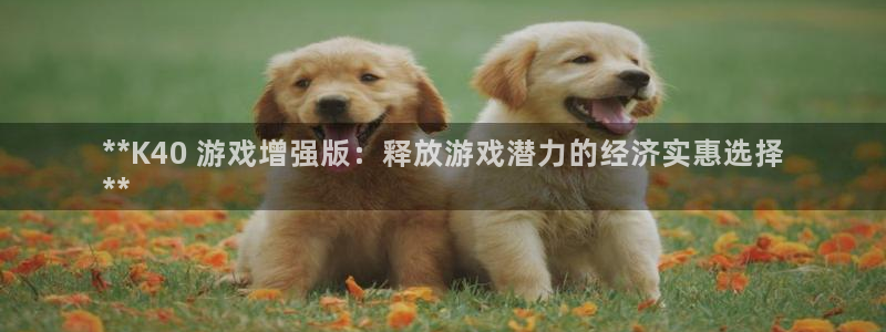 蓝狮电商怎么样：**K40 游戏增强版：释放游戏潜力的经济实惠选择
**