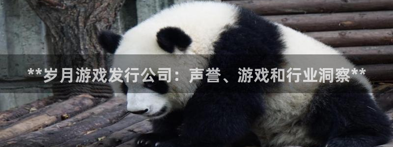 蓝狮子出版社董事长：**岁月游戏发行公司：声誉、游戏和行业洞察**