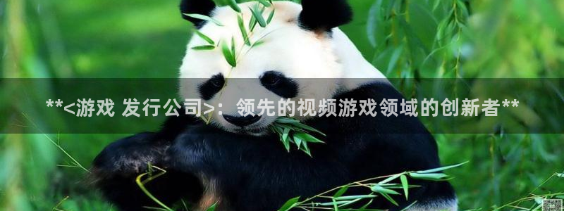 蓝狮在线注册平台怎么注册账号：**<游戏 发行公司>：领先的视频游戏领域的创新者**