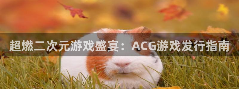 蓝狮在线平台代理开号流程：超燃二次元游戏盛宴：ACG游戏发行指南