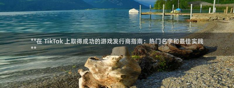 蓝狮电子科技怎么样