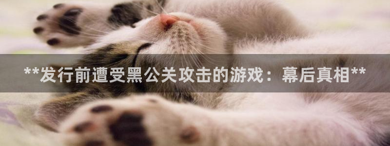 蓝狮子书店：**发行前遭受黑公关攻击的游戏：幕后真相**