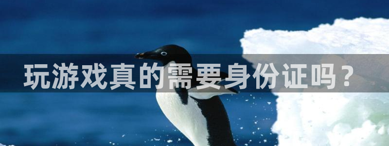 蓝狮衣服怎么样：玩游戏真的需要身份证吗？