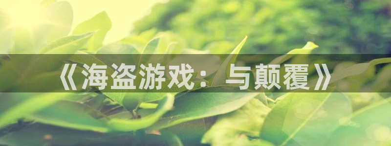 南京蓝狮子电子商务有限公司