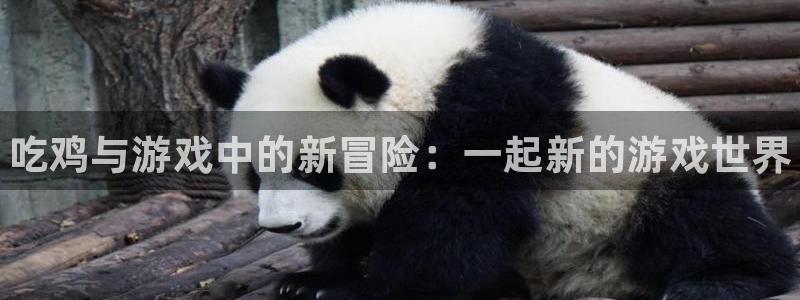 蓝狮在线登录注册失败怎么回事：吃鸡与游戏中的新冒险：一起新的游戏世界