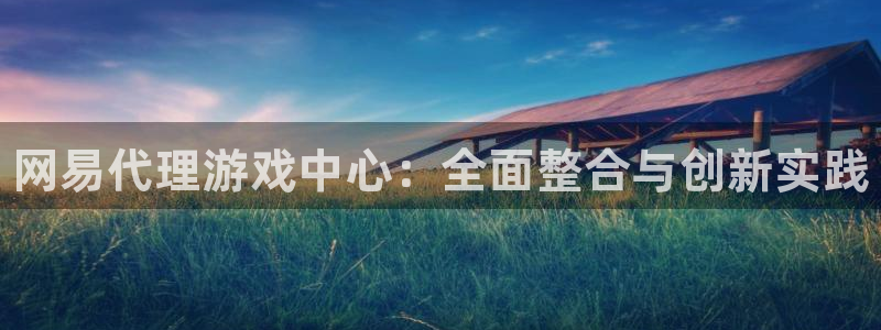 蓝狮子最好看的小说：网易代理游戏中心：全面整合与创新实践