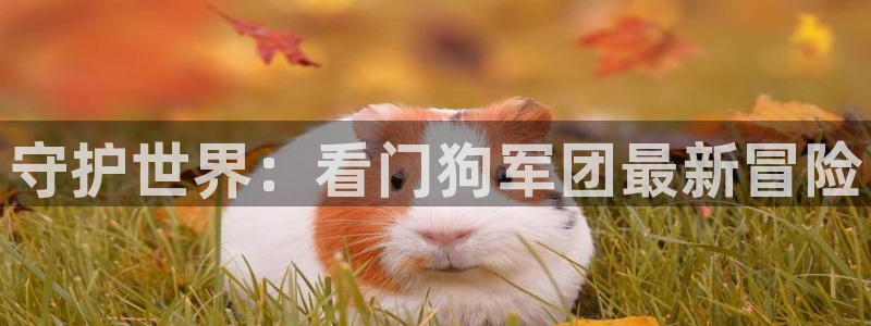 蓝狮男装品牌：守护世界：看门狗军团最新冒险