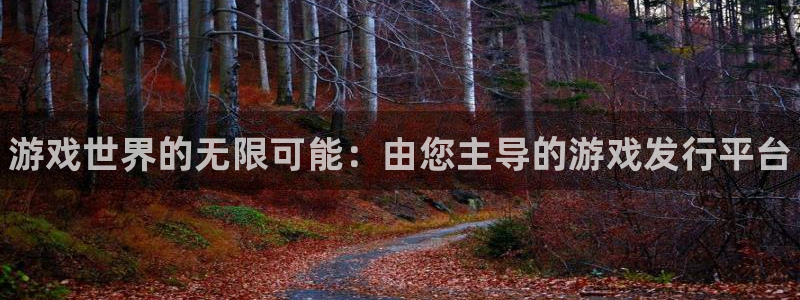 蓝狮在线登录注册：游戏世界的无限可能：由您主导的游戏发行平台