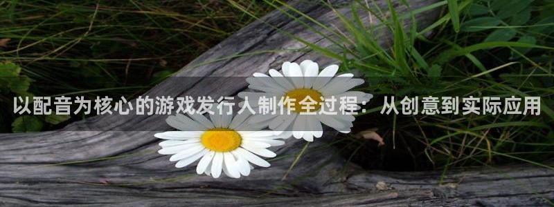 蓝狮子经理人杂志：以配音为核心的游戏发行人制作全过程：从创意到实际应用