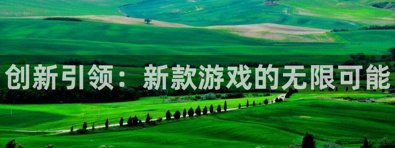 广州蓝狮电子商务：创新引领：新款游戏的无限可能