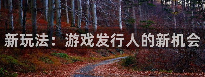 蓝狮子传媒集团ceo：新玩法：游戏发行人的新机会