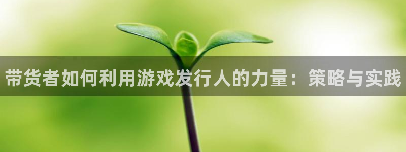 法国蓝狮lvnces是奢侈品吗：带货者如何利用游戏发行人的力量：策略与实践