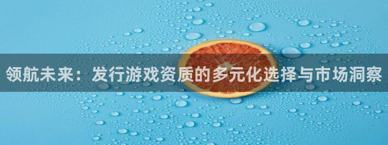 蓝狮子经理人读后感：领航未来：发行游戏资质的多元化选择与市场洞察